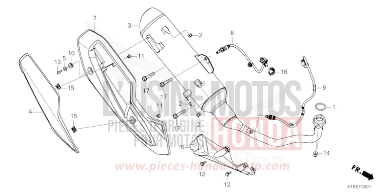 SILENCIEUX D'ECHAPPEMENT (NSS250AS/ASS/NSS350AS/ASS) de Forza 350 PEARL NIGHTSTAR BLACK (NHA84) de 2025